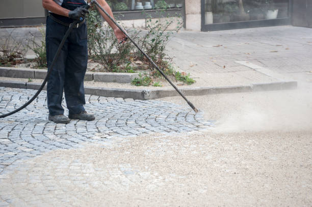 Professional Pressure Washing Services in Lake Wilderness, VA